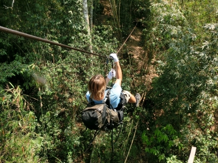 gibbon (14)